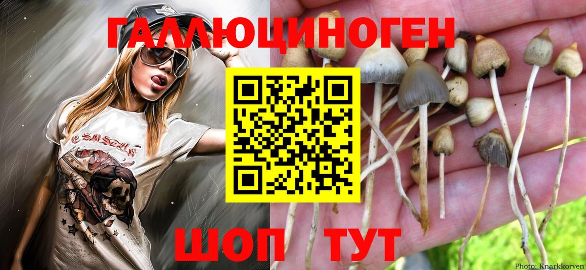 Галлюциногенные грибы прущие грибы  Вход с VPN  Абинск  Псилоцибиновые грибы Psilocybe 