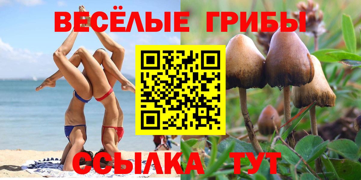 Галлюциногенные грибы GOLDEN TEACHER Абинск